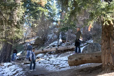 DSC_5068 (Large).JPG